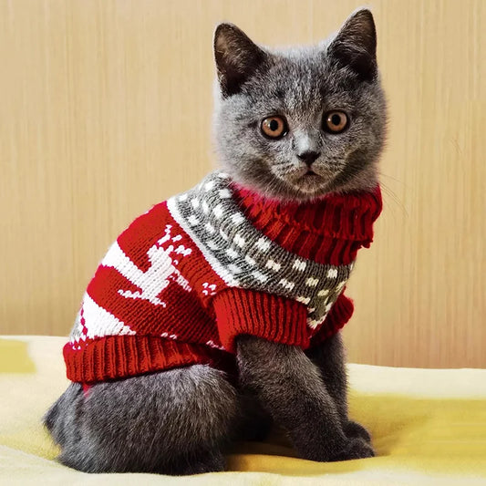 Cute Cat Sweater – Cozy Cartoon Pullover for Cats, Sphynx & Kittens, Warm Winter Clothes for Pets