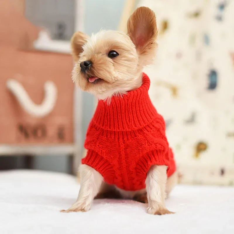 Knitted Dog Sweater for Small & Medium Breeds – Cozy Winter Clothes for Chihuahua, Yorkshire & Puppies