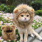 Cute Lion Mane Cat Wig Hat – Funny Costume for Cats & Dogs, Perfect for Halloween & Christmas Party Decoration