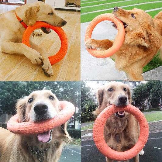 Indestructible Dog Ring Toy – Chew-Resistant, Floating & Flying Fetch Ring